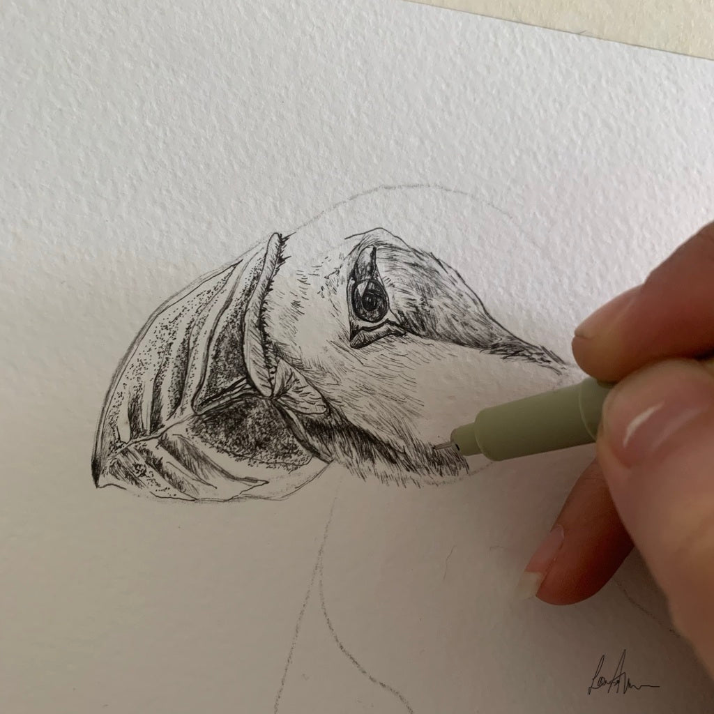 Puffin Fineliner Pen Drawing